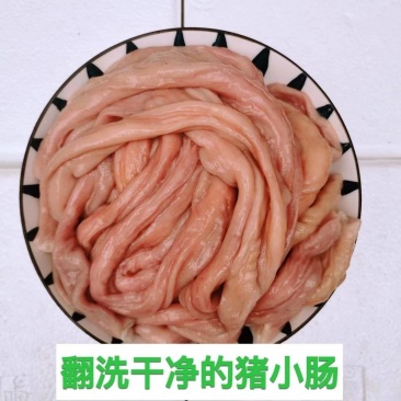 （包邮）新鲜猪小肠精翻洗小肠十二脂肠猪粉肠5斤