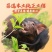 （包邮）新鲜猪小肠精翻洗小肠十二脂肠猪粉肠5斤