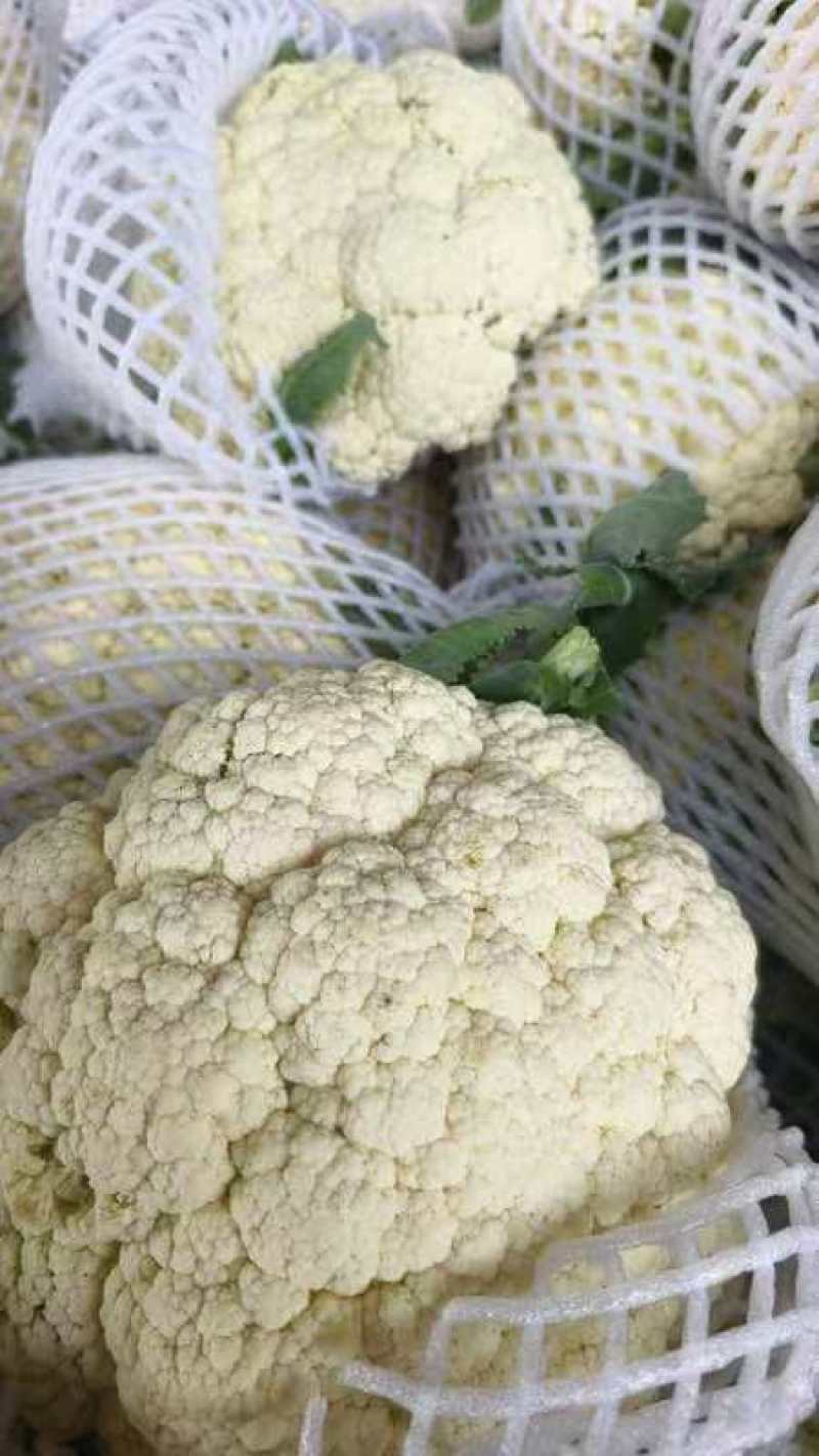 花菜，小米松花菜产地，货源充足，保质保量，一条龙服务