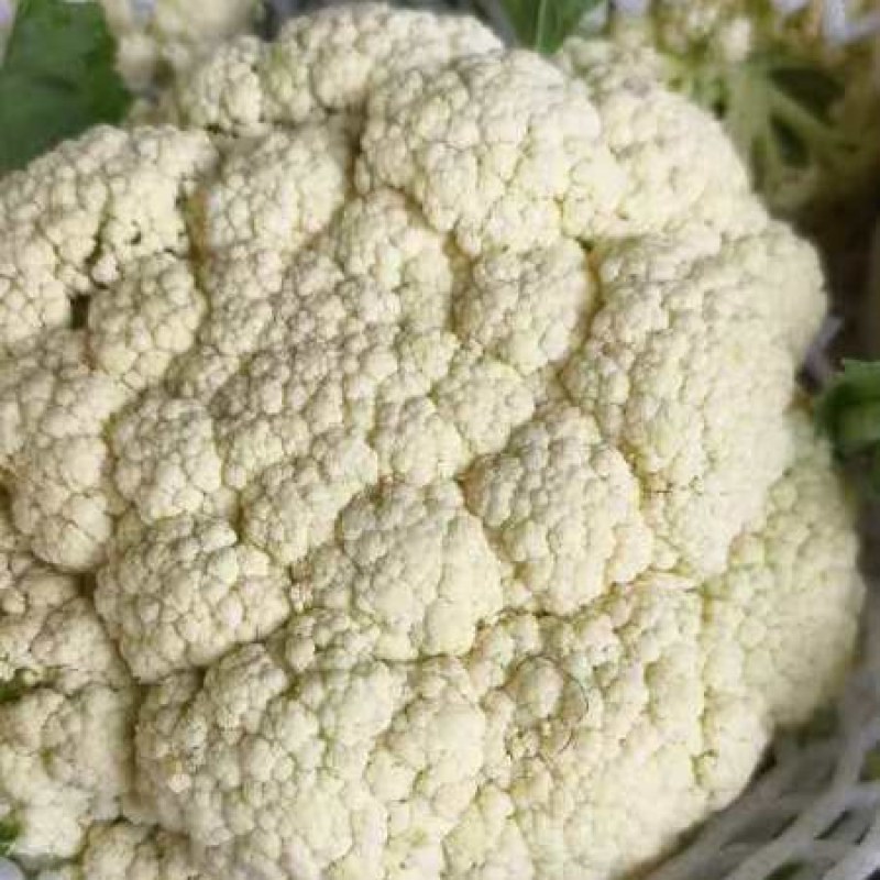 花菜，小米松花菜产地，货源充足，保质保量，一条龙服务
