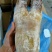 带骨牛蹄火烧毛牛蹄