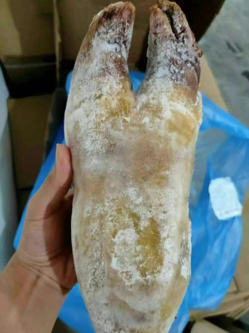 带骨牛蹄火烧毛牛蹄