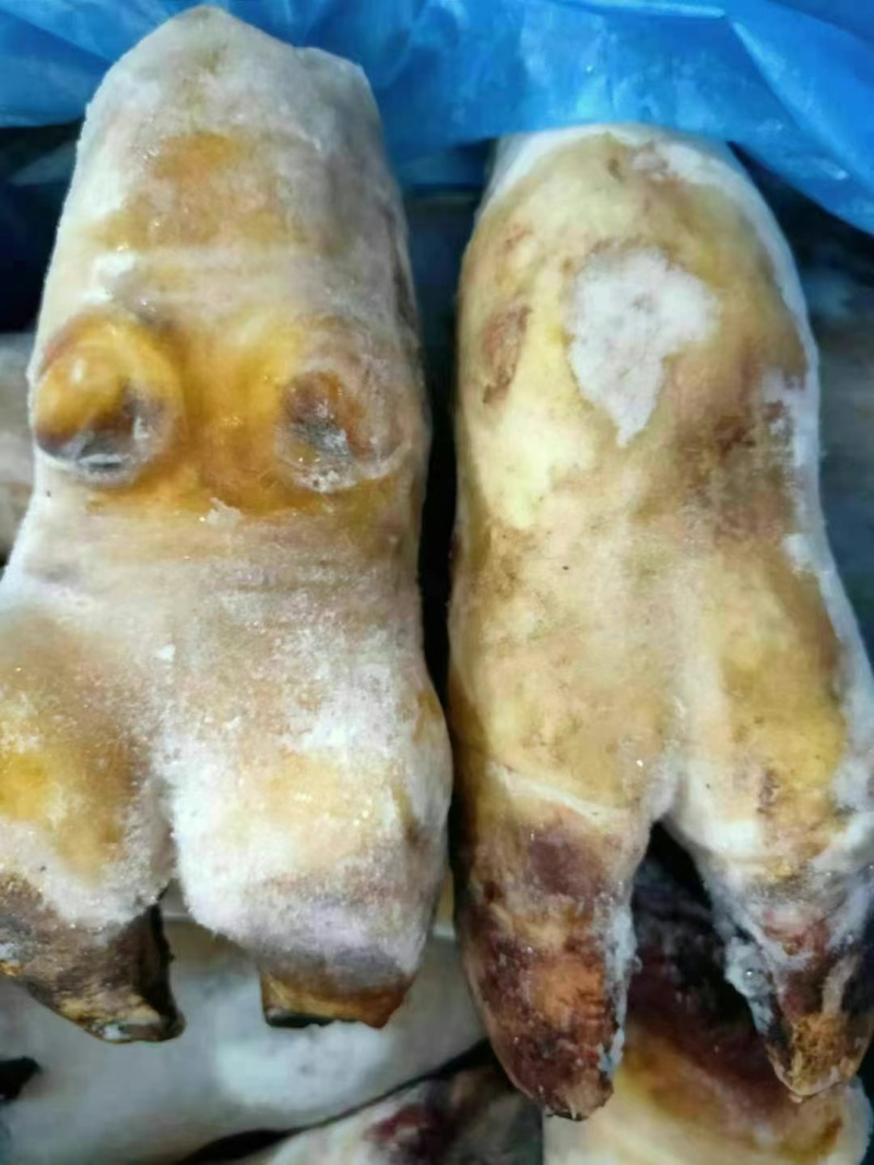 带骨牛蹄火烧毛牛蹄
