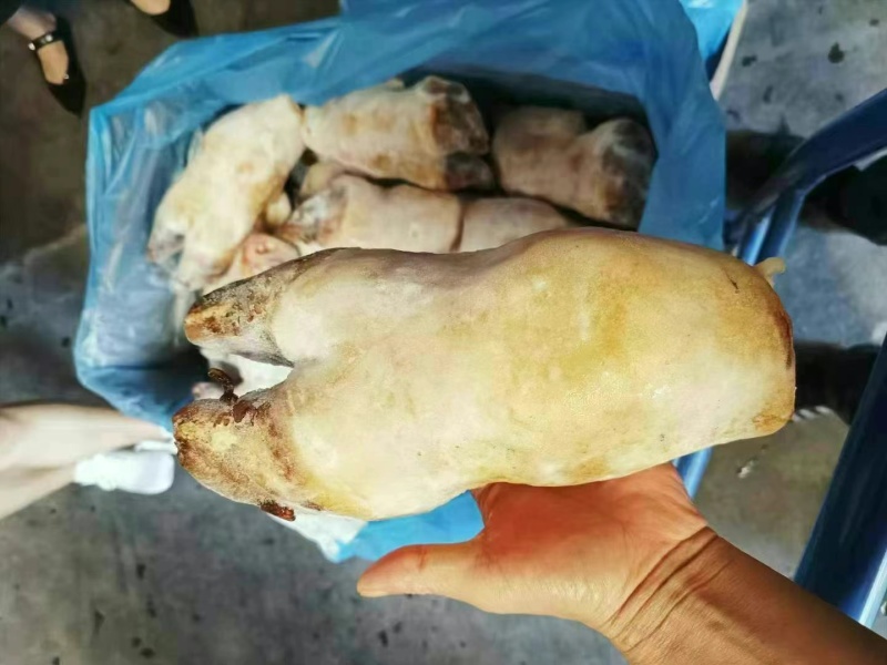 带骨牛蹄火烧毛牛蹄