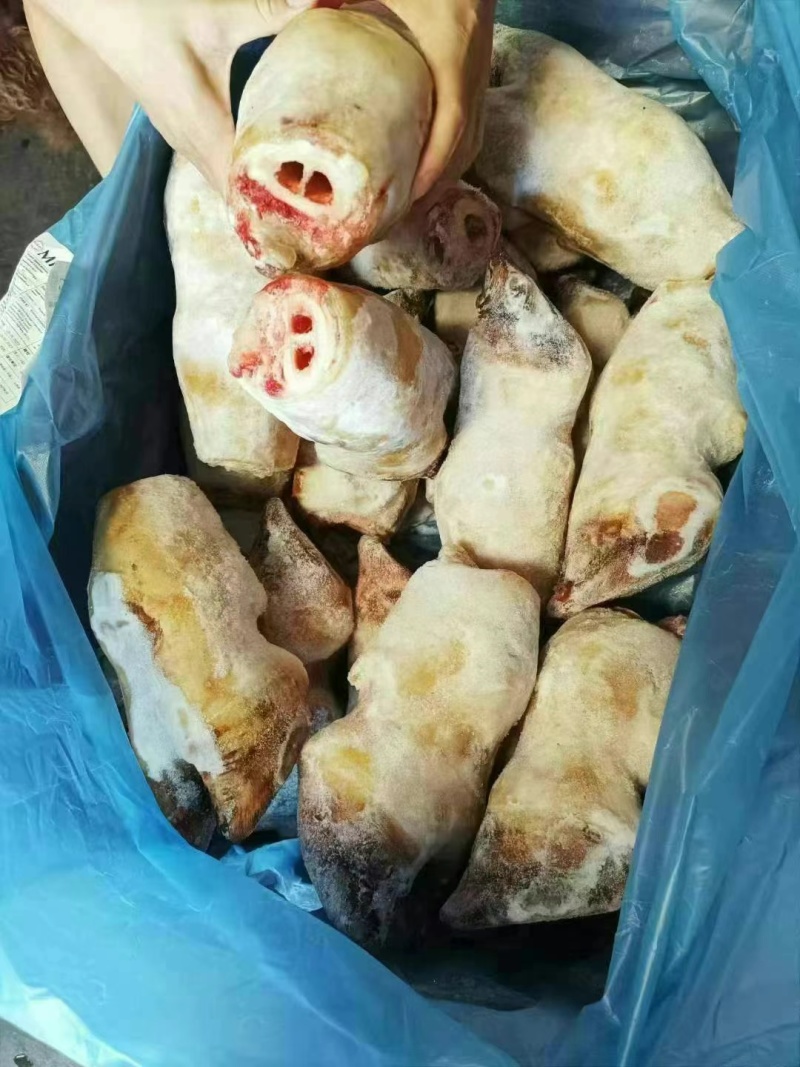 带骨牛蹄火烧毛牛蹄