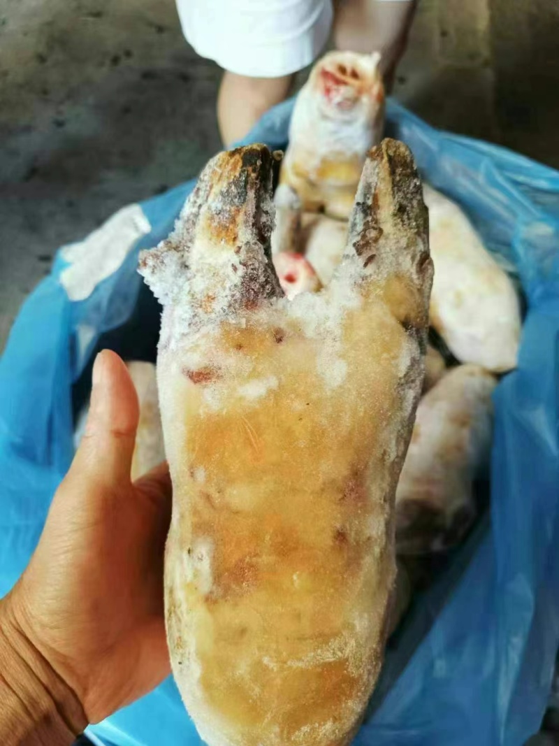 带骨牛蹄火烧毛牛蹄