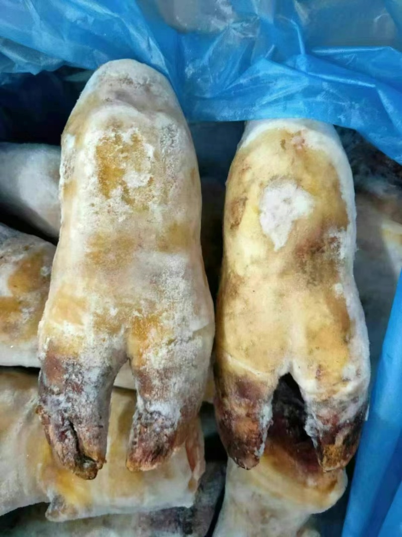 带骨牛蹄火烧毛牛蹄