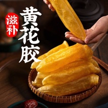 一手工厂批发各种鱼胶，黄花筒，鸡蛋胶，鳕鱼胶，压片胶，