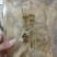 一手工厂批发各种鱼胶，黄花筒，鸡蛋胶，鳕鱼胶，压片胶，