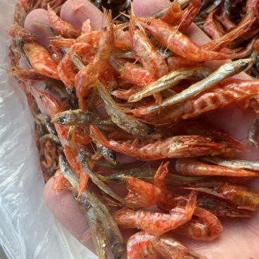 河鱼河虾地摊电商批发农家小鱼小虾鱼干虾干