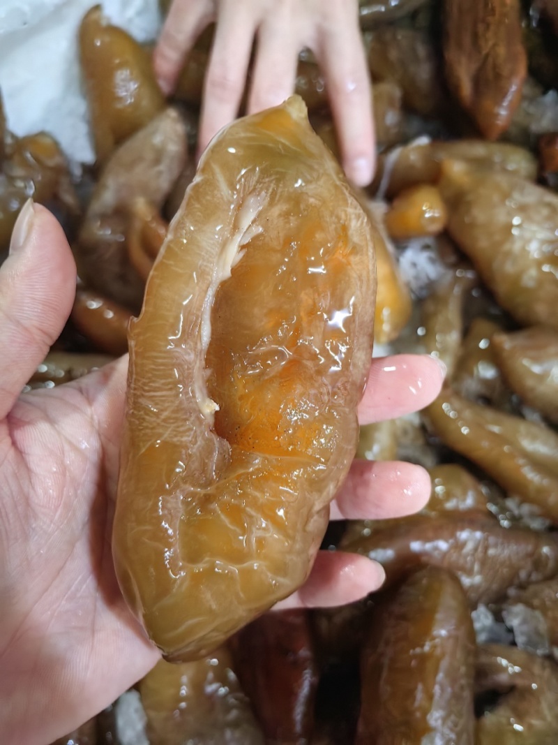 大乌参500克装，工厂直发，欢迎咨询！