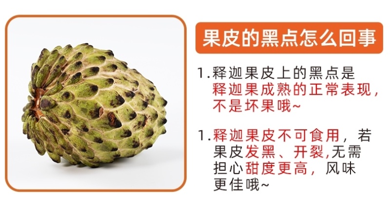 一件代发货/批发云南凤梨释迦果精选老树大果口感绵密香甜