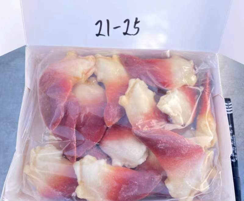 北极贝全规格，品质保证，价格中高低挡，工厂直发，欢迎咨询