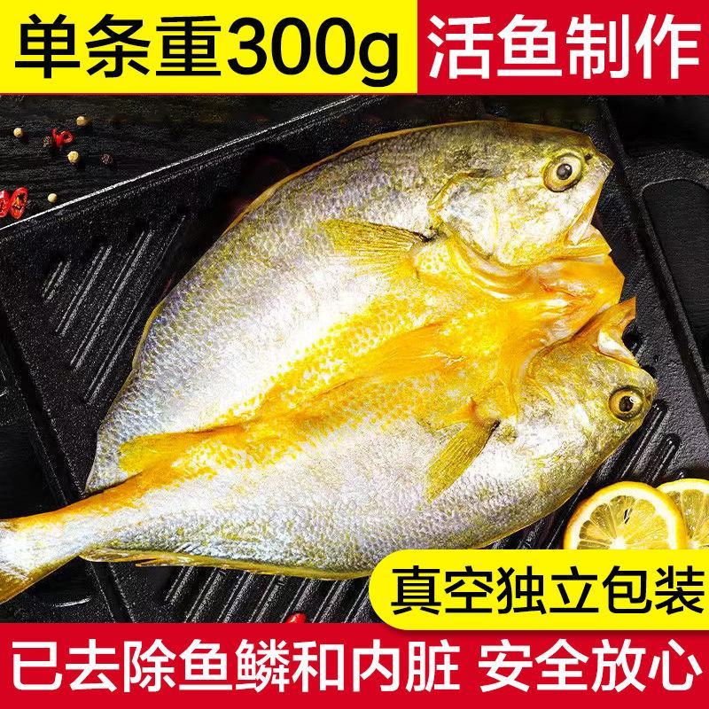 【已去内脏】开背黄花鱼黄鱼鲞国产新鲜冷冻宁德大黄鱼海鲜活