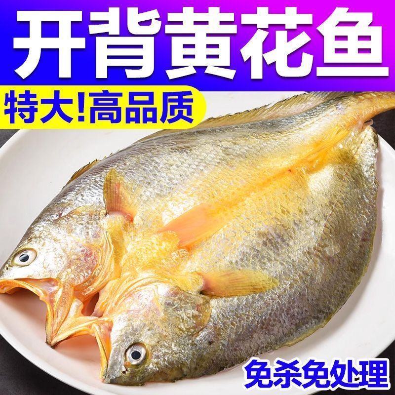 【已去内脏】开背黄花鱼黄鱼鲞国产新鲜冷冻宁德大黄鱼海鲜活