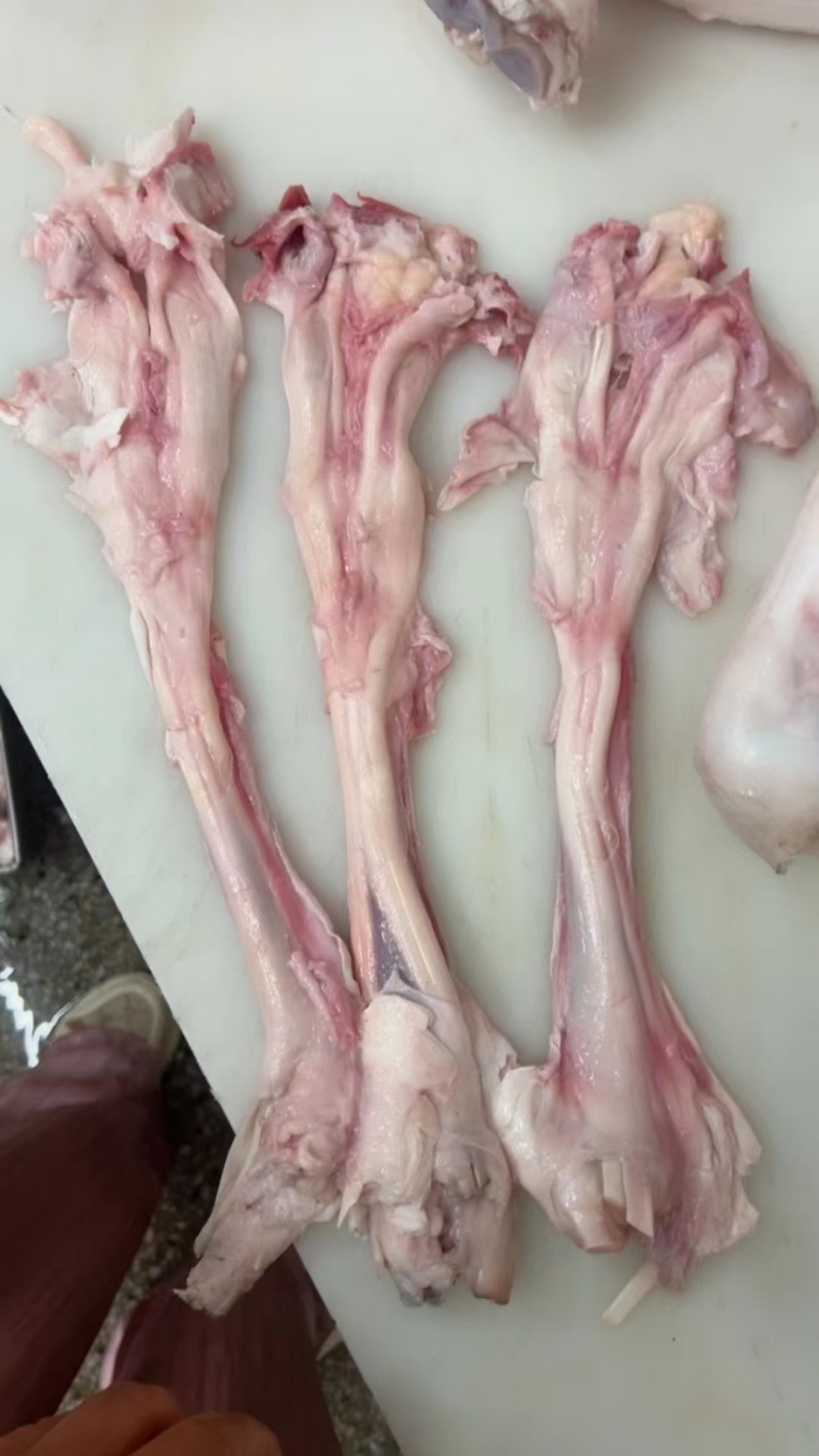 生牛主筋副筋厂家直销货源稳定质量保证