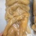 牛蹄皮