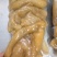 牛蹄皮