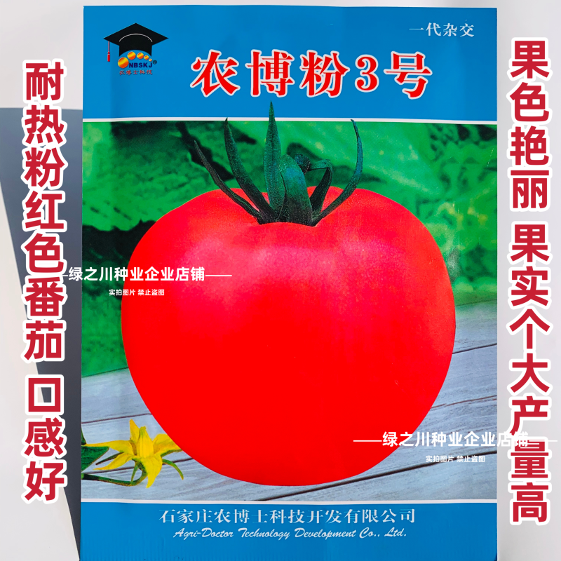 农博粉3号西红柿种子耐热番茄种子粉红大果西红柿种籽口感好