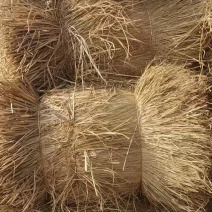 治沙稻草手把捆全国批发治沙稻草项目专用草治沙草专用稻草