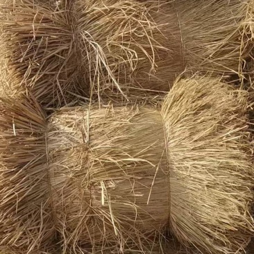 治沙稻草手把捆全国批发治沙稻草项目专用草治沙草专用稻草