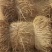 治沙稻草手把捆全国批发治沙稻草项目专用草治沙草专用稻草