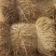 治沙稻草手把捆全国批发治沙稻草项目专用草治沙草专用稻草