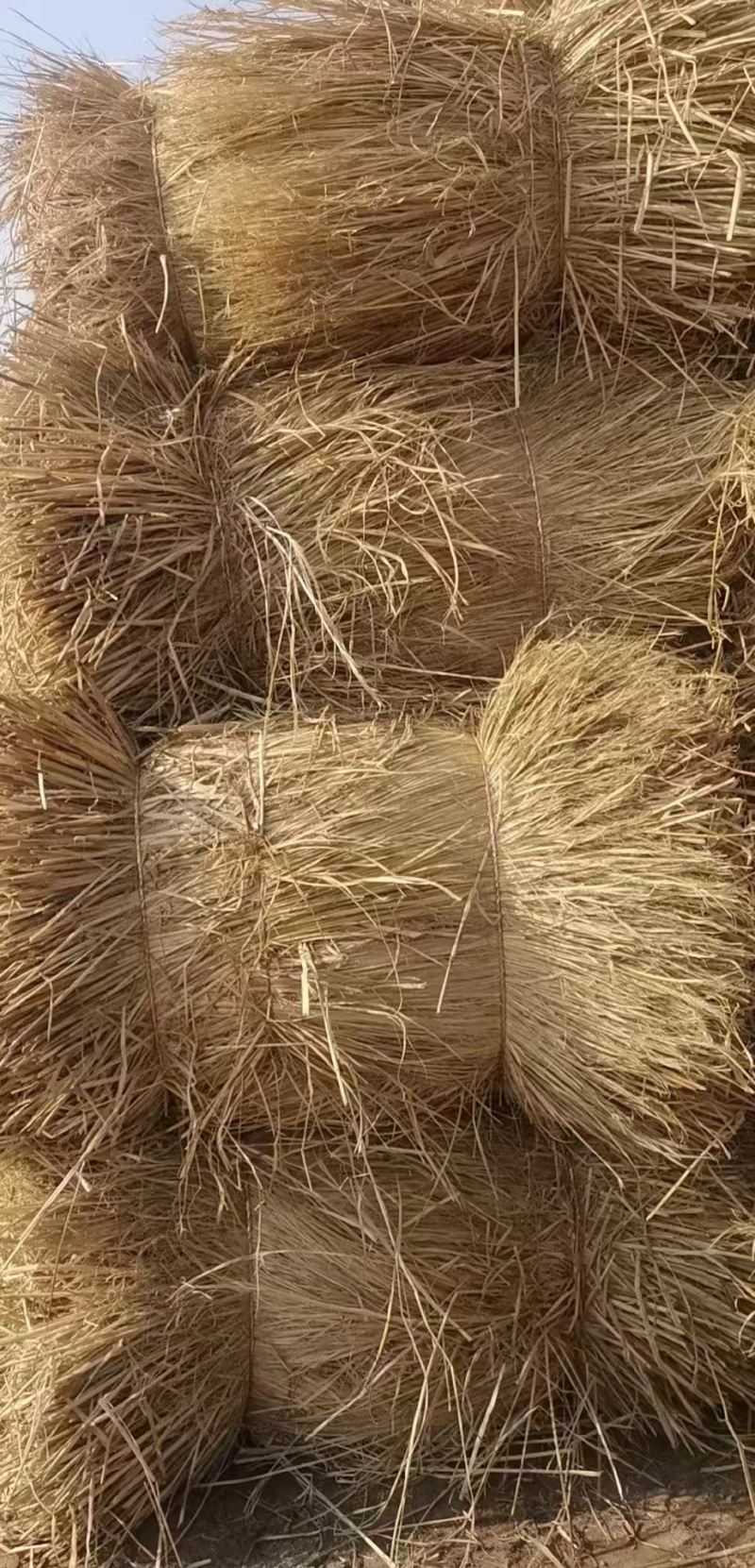 治沙稻草手把捆全国批发治沙稻草项目专用草治沙草专用稻草