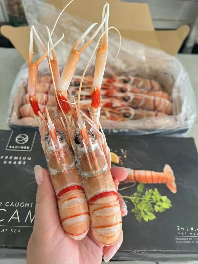 贝帆立柱，兰花蚌，螯虾，甜虾，象拔蚌，三文鱼，红金枪鱼…