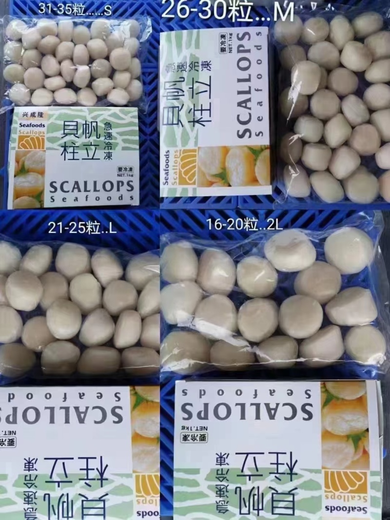 贝帆立柱，兰花蚌，螯虾，甜虾，象拔蚌，三文鱼，红金枪鱼…