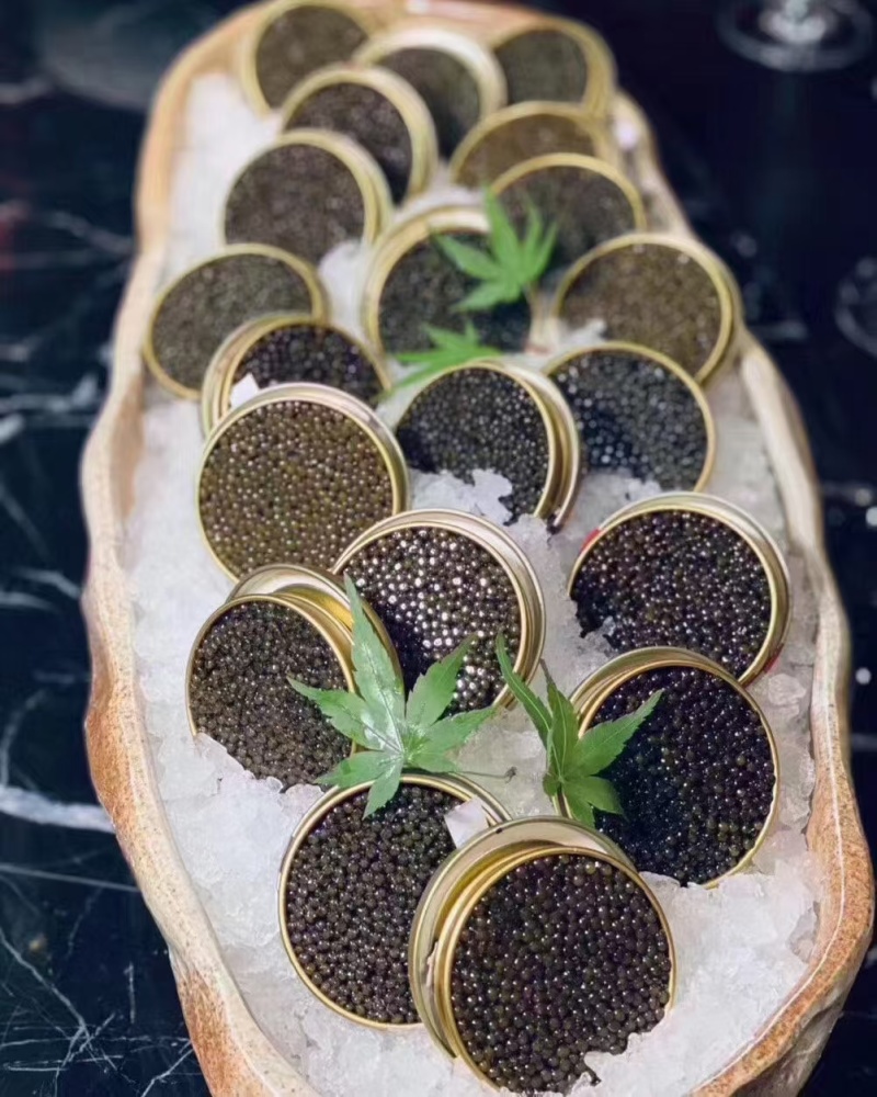 贝帆立柱，兰花蚌，螯虾，甜虾，象拔蚌，三文鱼，红金枪鱼…