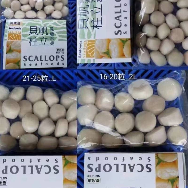 贝帆立柱，兰花蚌，螯虾，甜虾，象拔蚌，三文鱼，红金枪鱼…