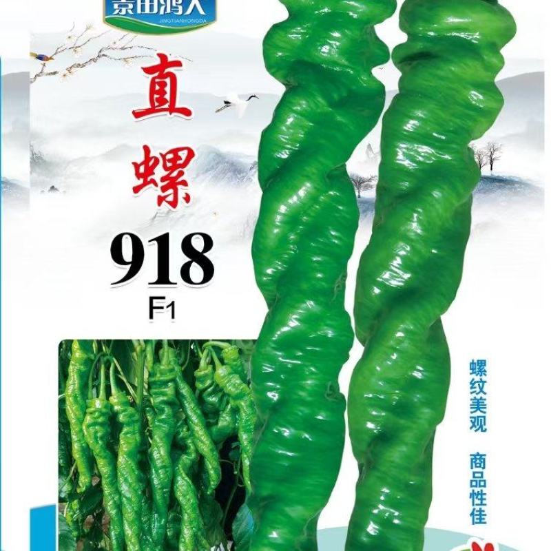 辣椒种子直螺918螺丝椒新品种螺纹美观商品性好脆