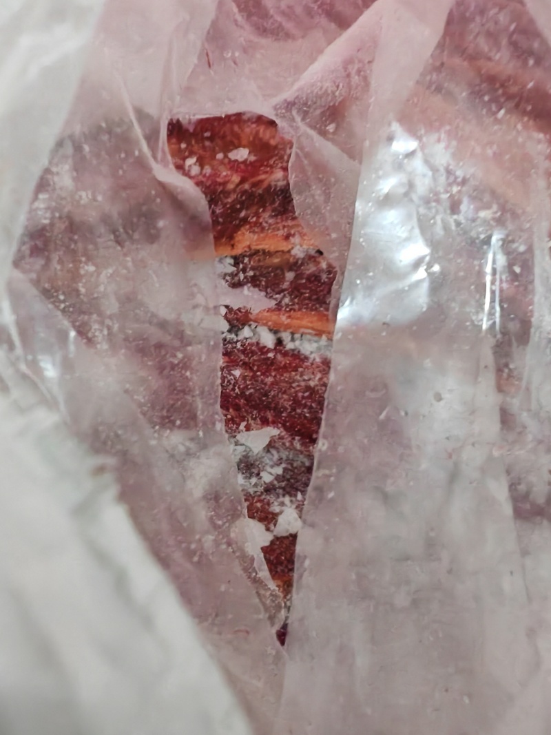 马肋条040马肉马腱马脖肉马前腿马后腿量大