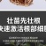 生根粉强力生根生根原粉壮苗叶喷插扦调节生长叶面肥
