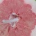新鲜四川三红柚，口感酸甜多汁，**特惠！