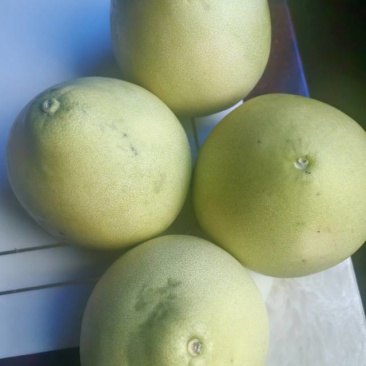 新鲜四川三红柚，口感酸甜多汁，**特惠！