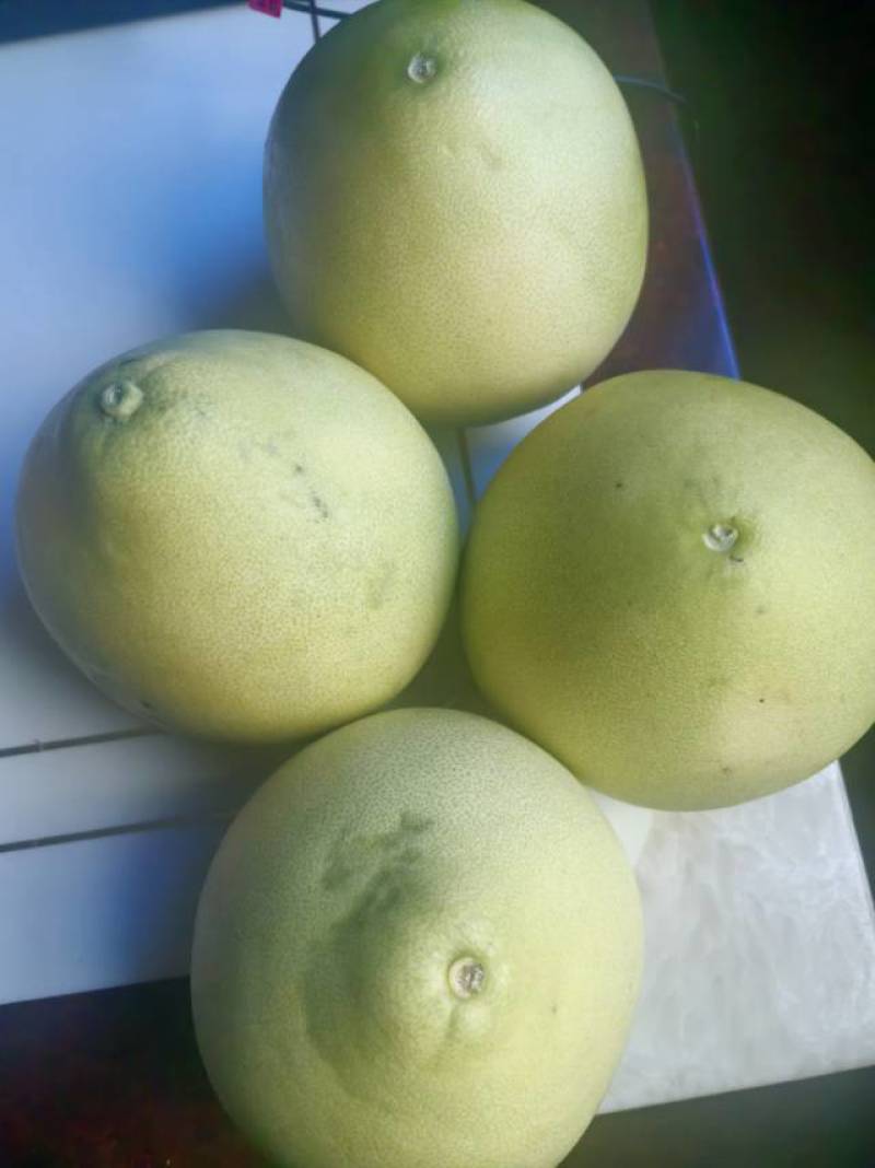 新鲜四川三红柚，口感酸甜多汁，**特惠！