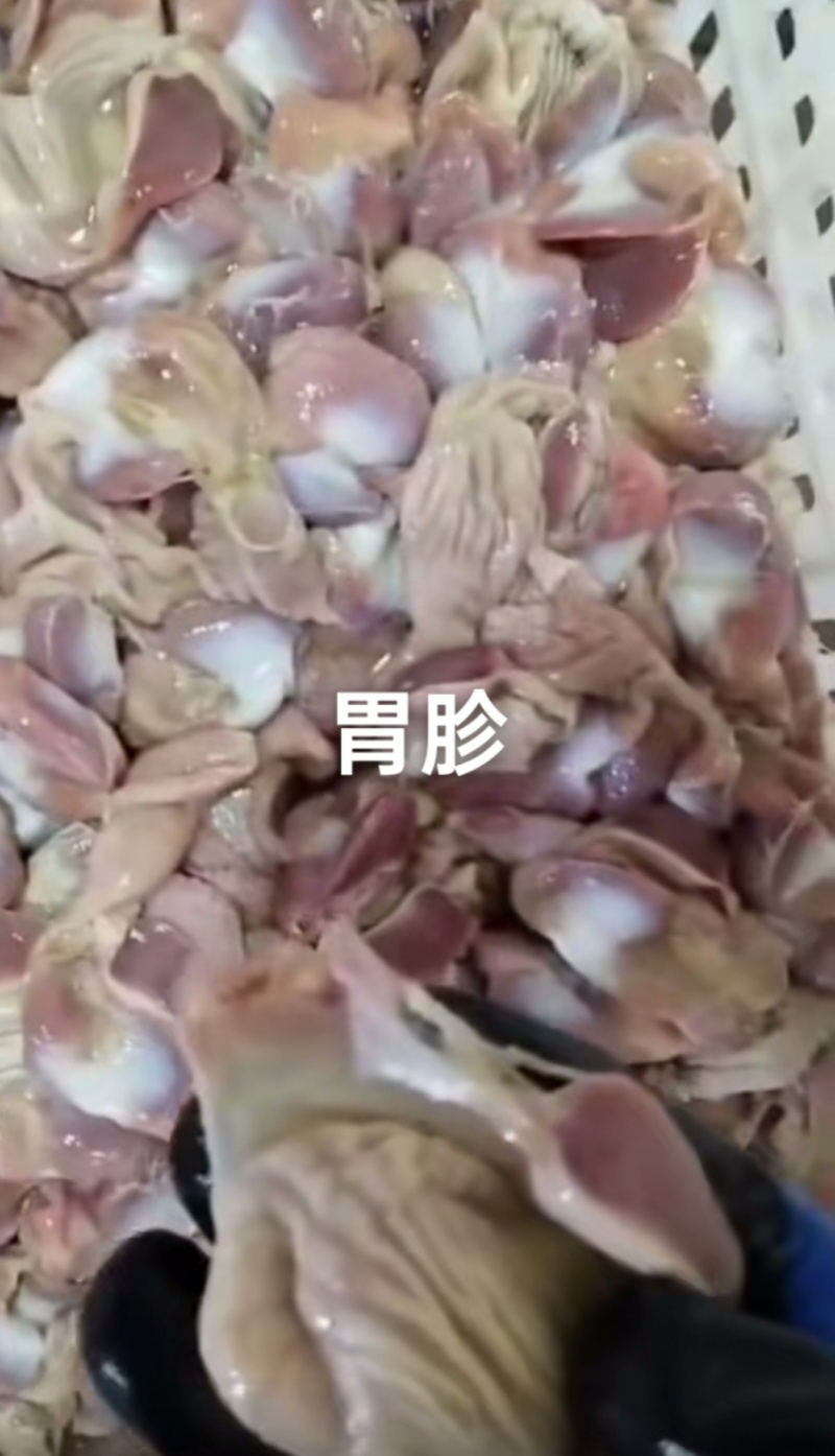 带肚鸡胗，肉食鸡胃胗，1kg一包一件10包