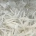 洪泽湖淡水鲜银鱼现捕捞4-6厘米精品货支持各种包装冻板