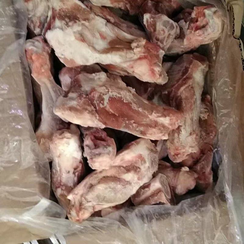 前腿骨下半截