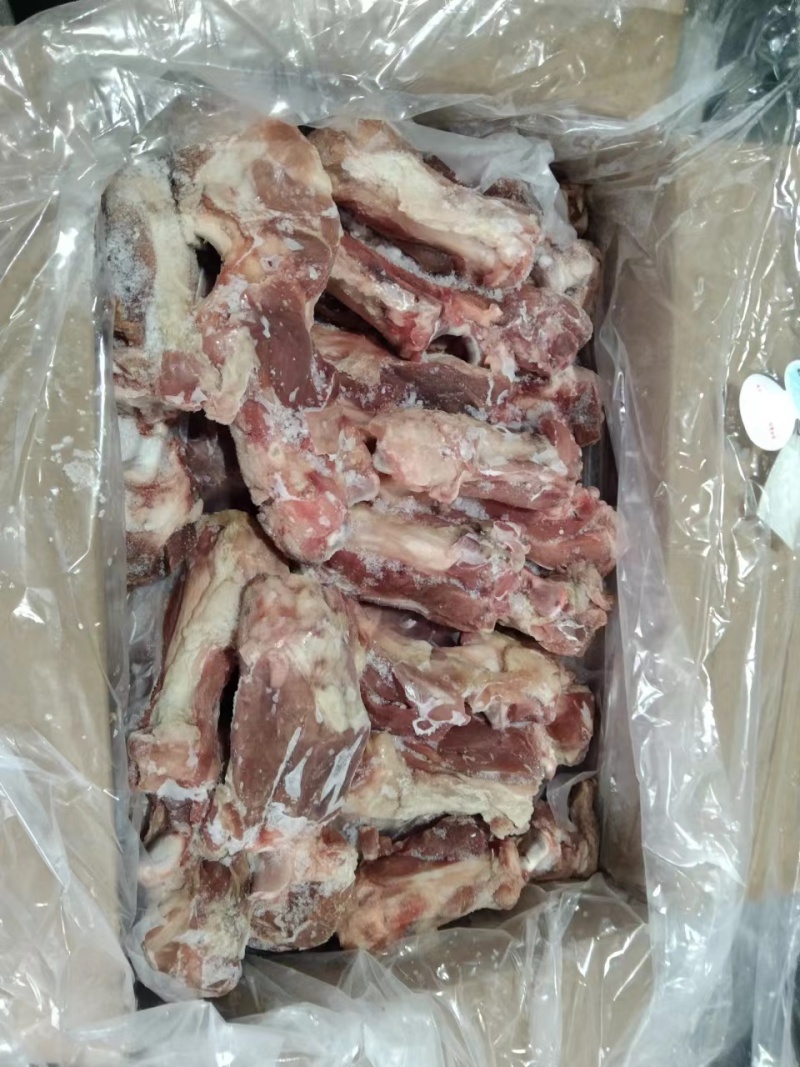 前腿骨下半截