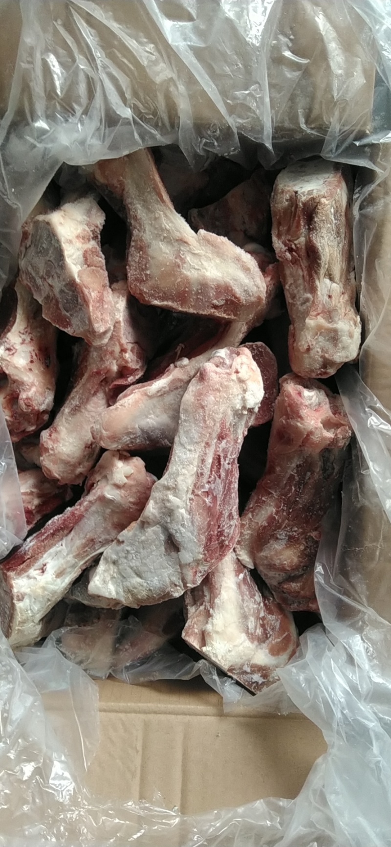 前腿骨下半截