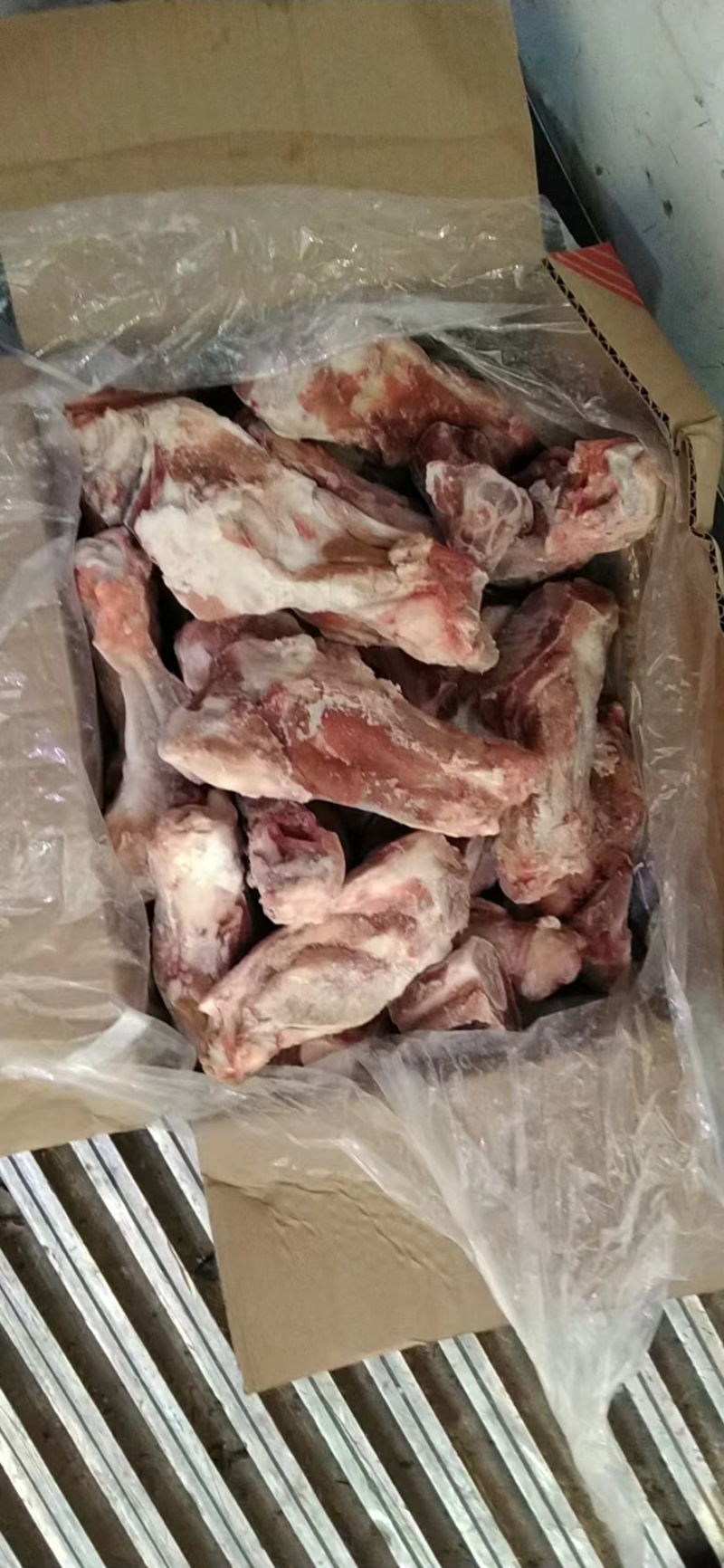 前腿骨下半截