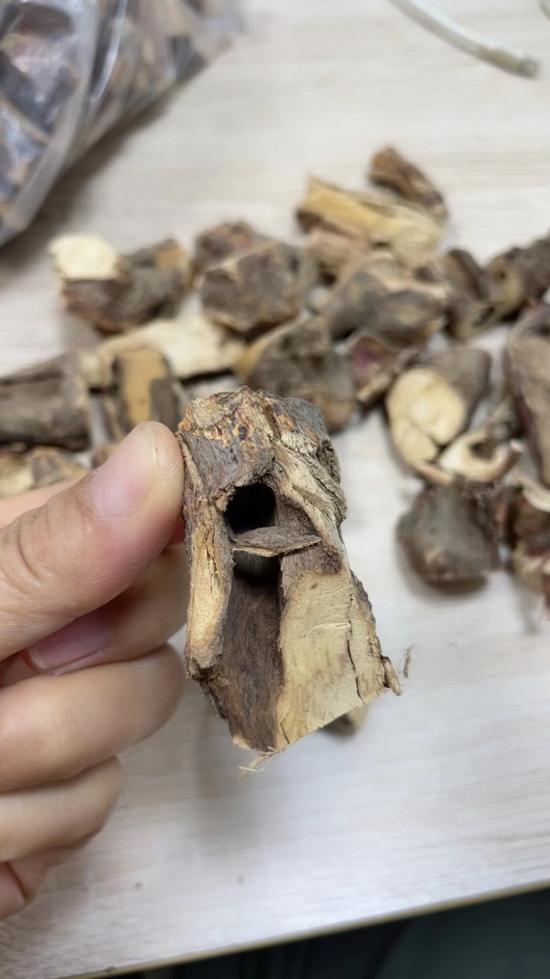 广西纯野生五指毛桃
