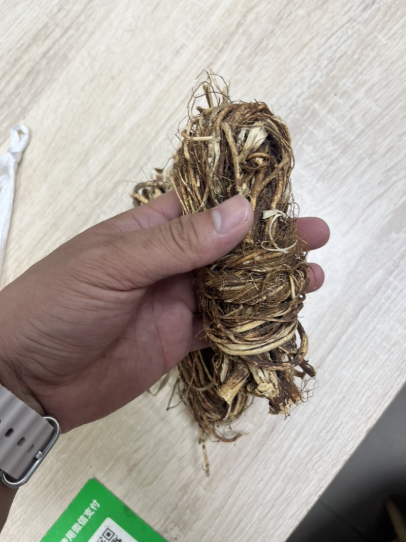 广西纯野生五指毛桃