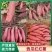 【新品上市】河南红薯/西瓜红/万亩基地/一条龙服务