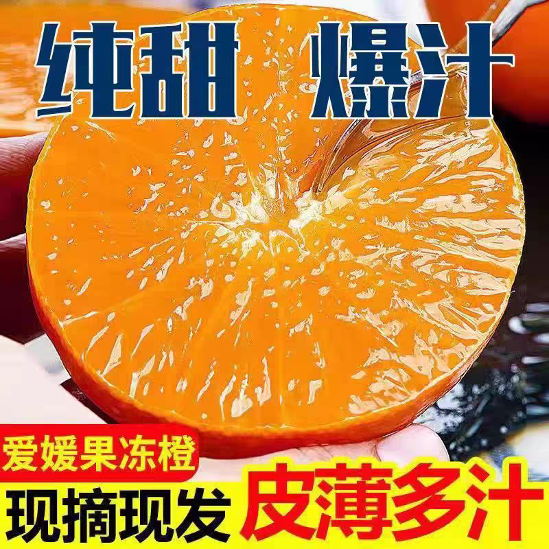 湖北爱媛橙/果冻橙纯甜爆汁诚信经营现摘现发欢迎电联