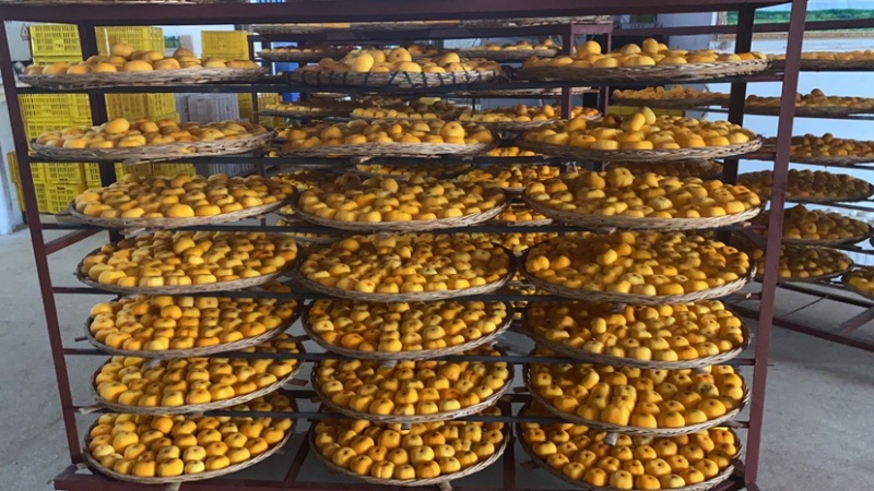 广西柿饼一件代发主打商超自有工厂ISO22000认证
