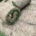 高羊茅草坪